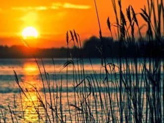 Taxi trips to Evros' River, in Alexandroupolis